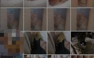 怎么私密打包,安全高效的数据封装之道